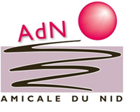 adn